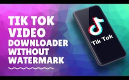 TikTok Video Downloader media 1