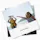 Google Photos Mac App