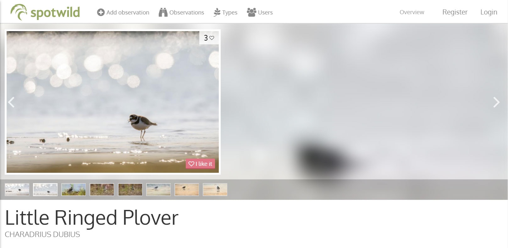 Spotwild.org - Help to protect our nature gallery image