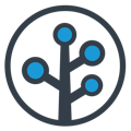 Branch