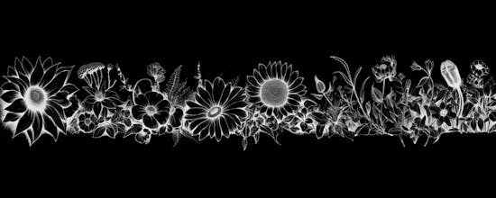 Aesthetic Notion Cover Pack gallery image