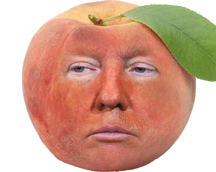 In Peach Donald Trump!