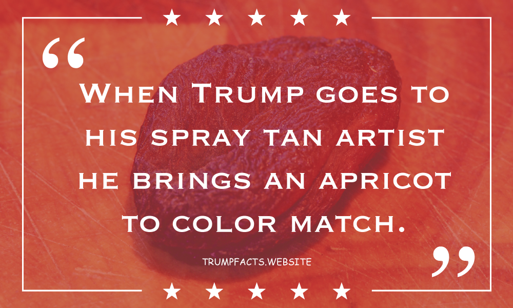 Trump Facts gallery image