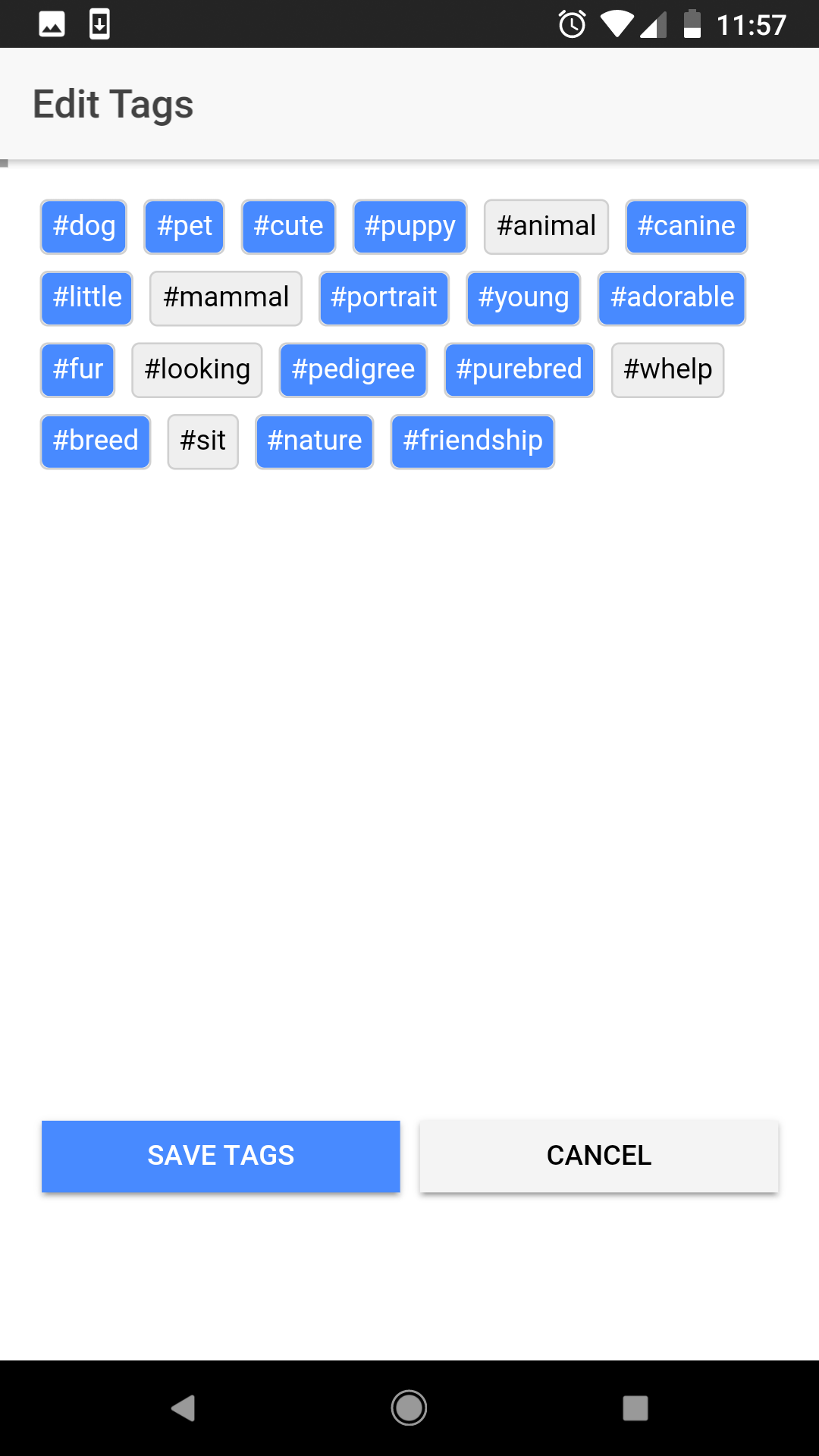 Tag Hero gallery image