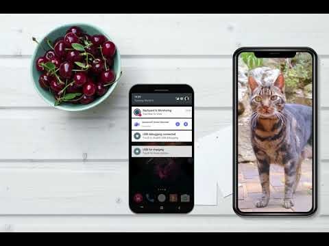 EyeSpie gallery image