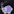 Oogy Can You Help