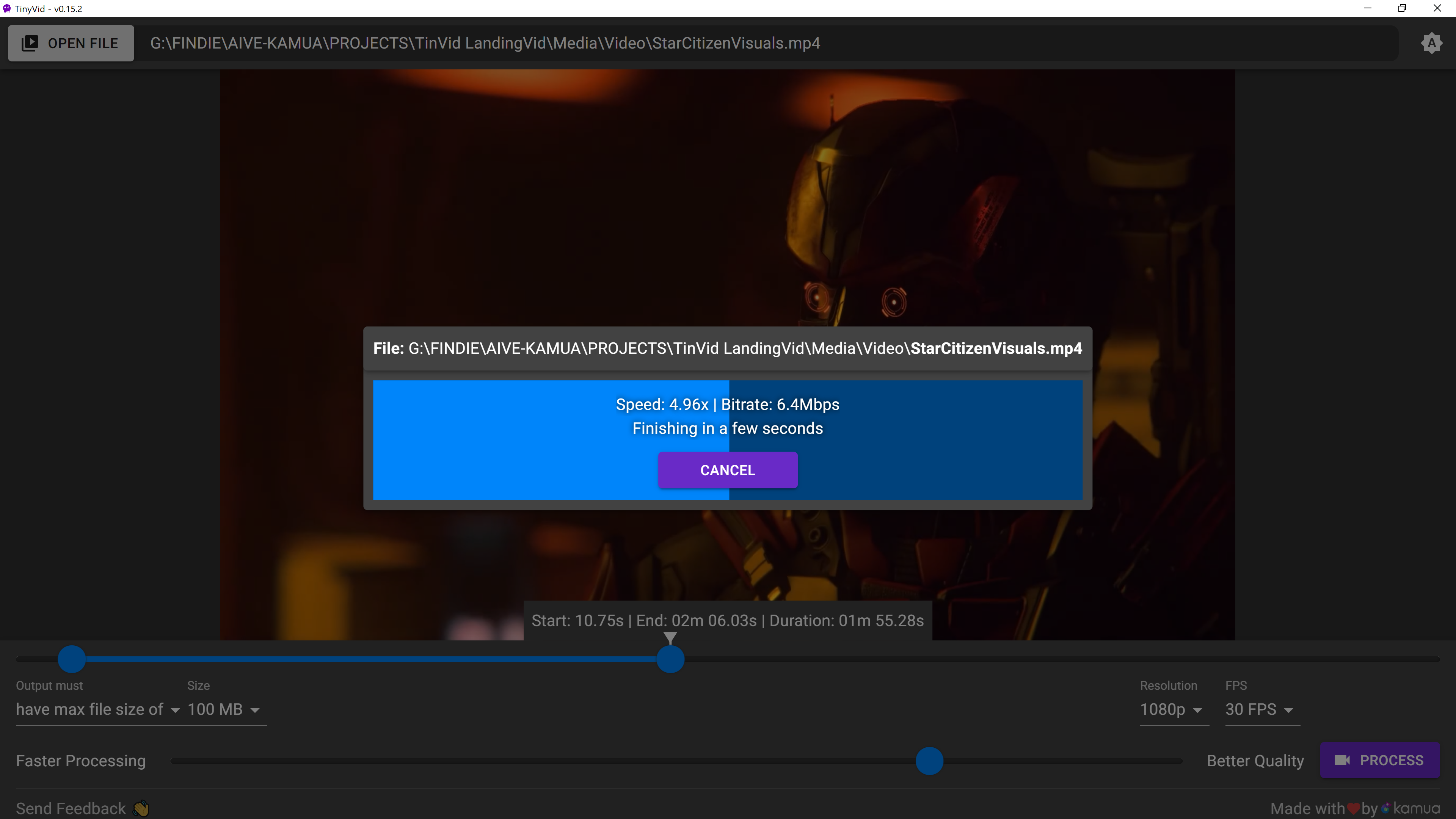 TinyVid gallery image
