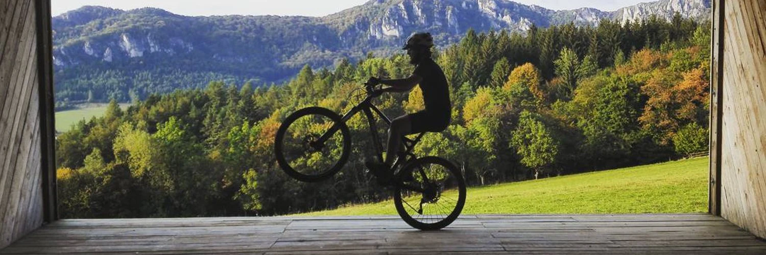 František Vráb cover