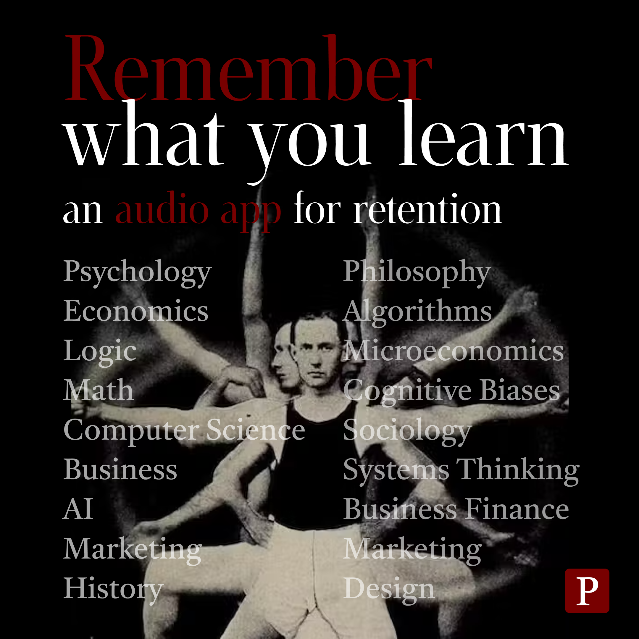 Polym - Screenshot 2 preview