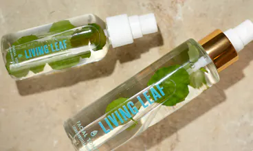 Living Leaf gallery image