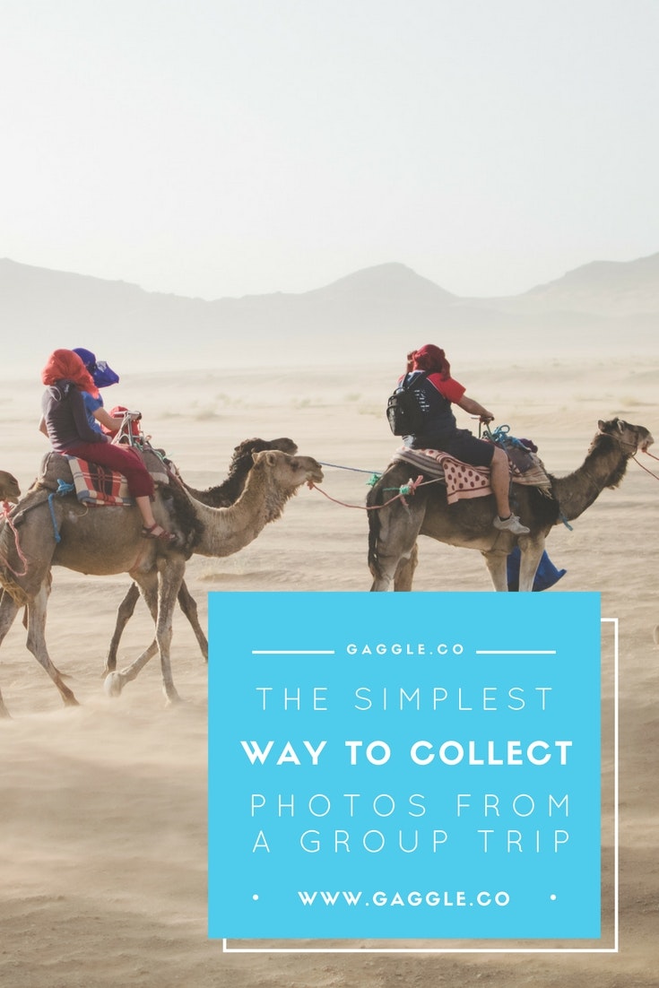 Gaggle gallery image