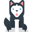 Husky