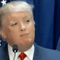 Deepfakes Web