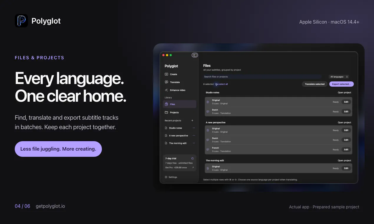 Polyglot gallery image