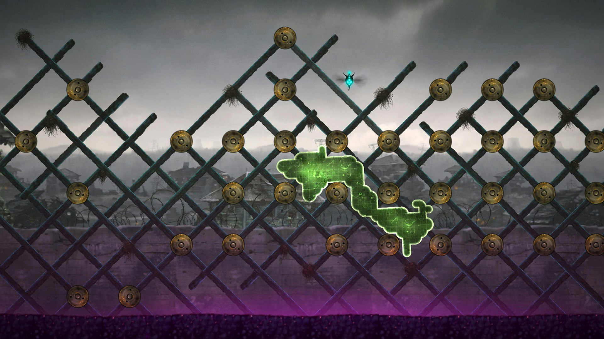 Mushroom 11 gallery image