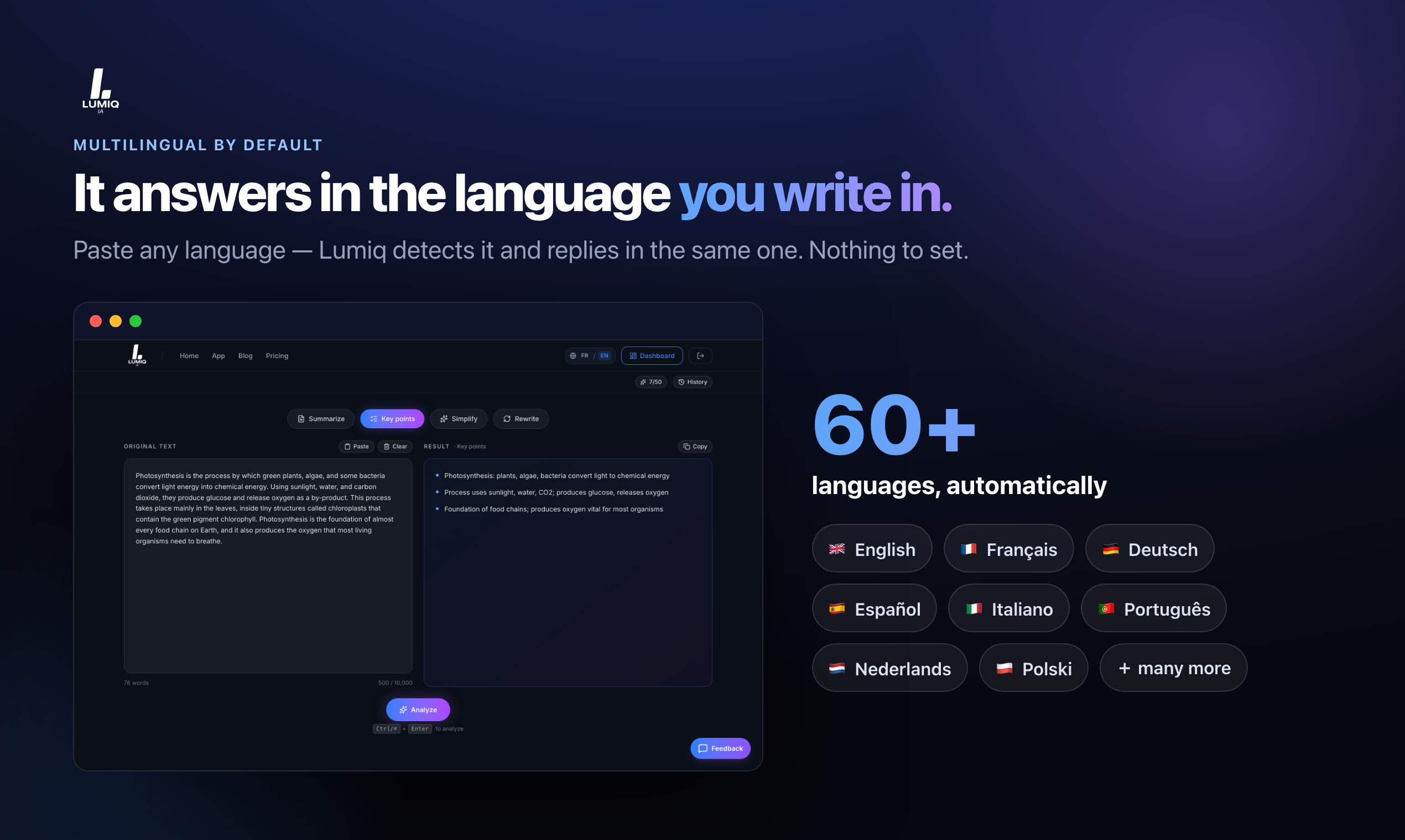Lumiq AI gallery image