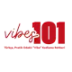 Vibes101