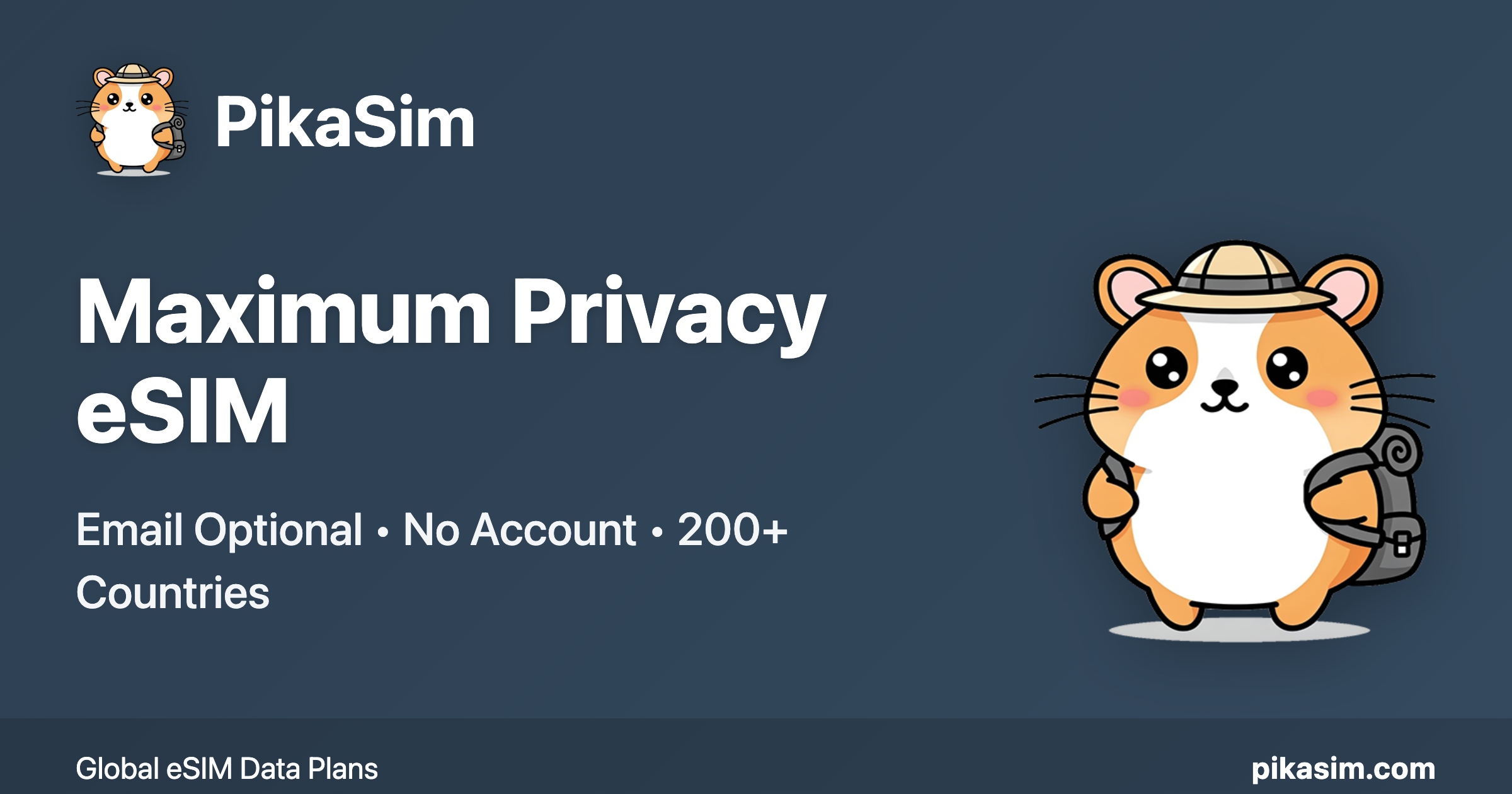 PikaSim - Main product screenshot demonstrating key features and user interface