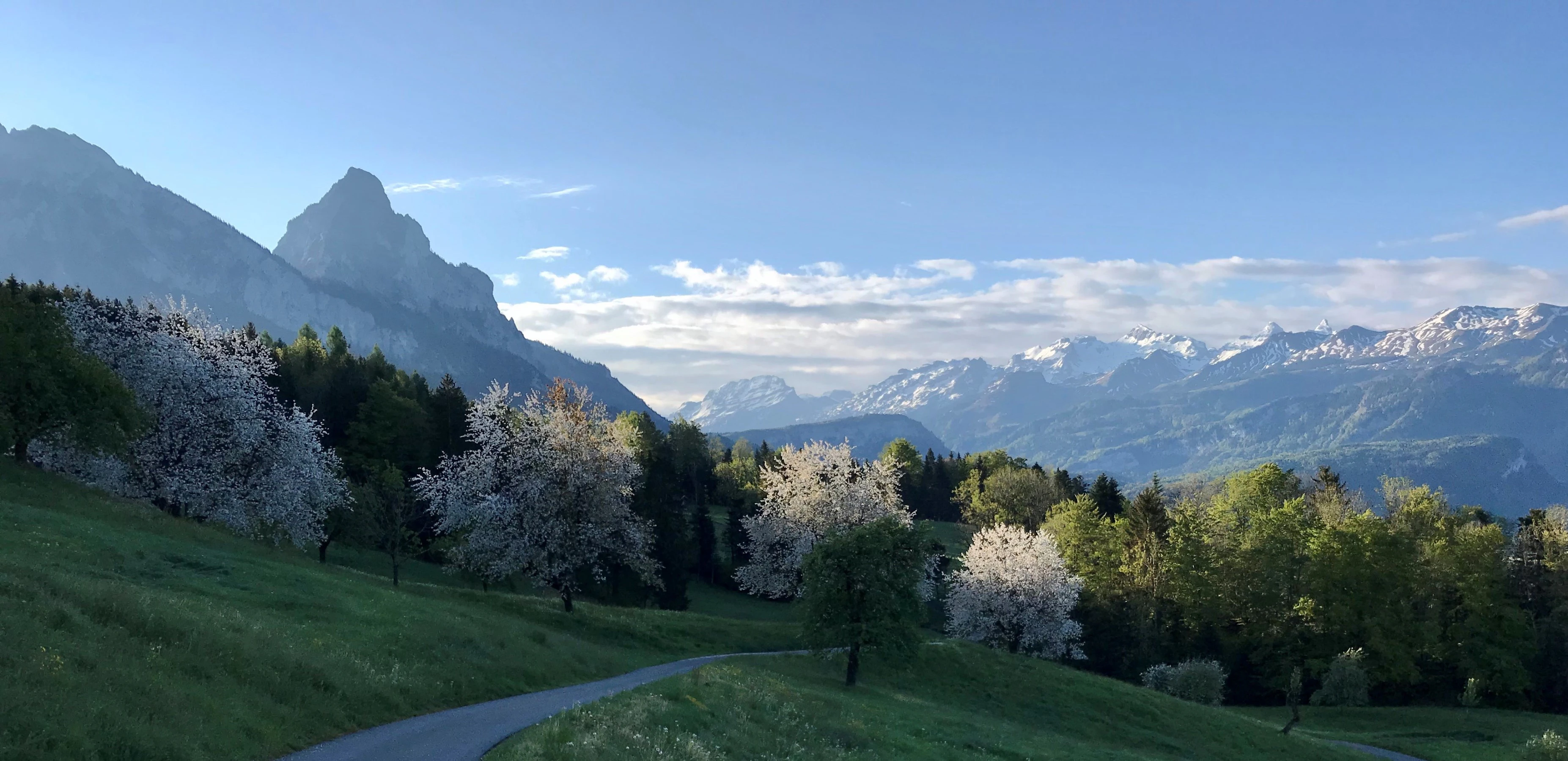 Liesbeth Deddens cover