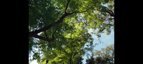 The Hirayama Table gallery image