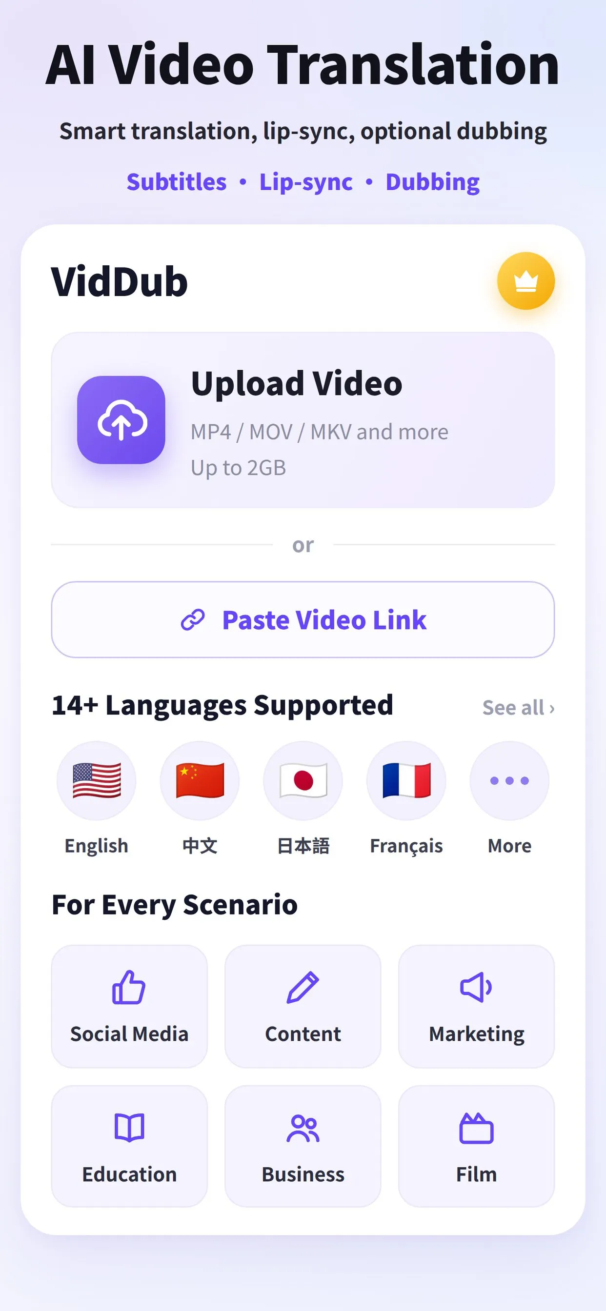VidDub gallery image