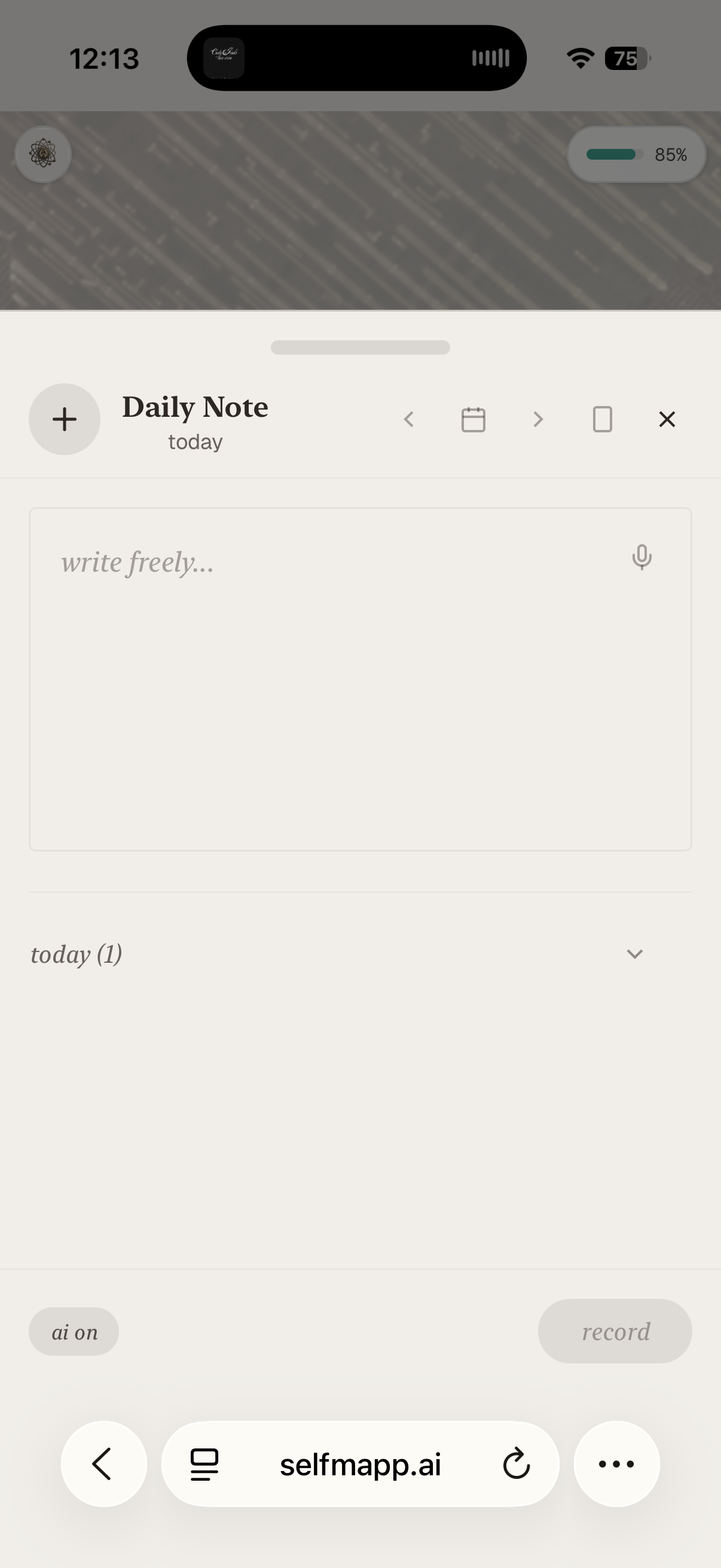 selfmapp.ai gallery image