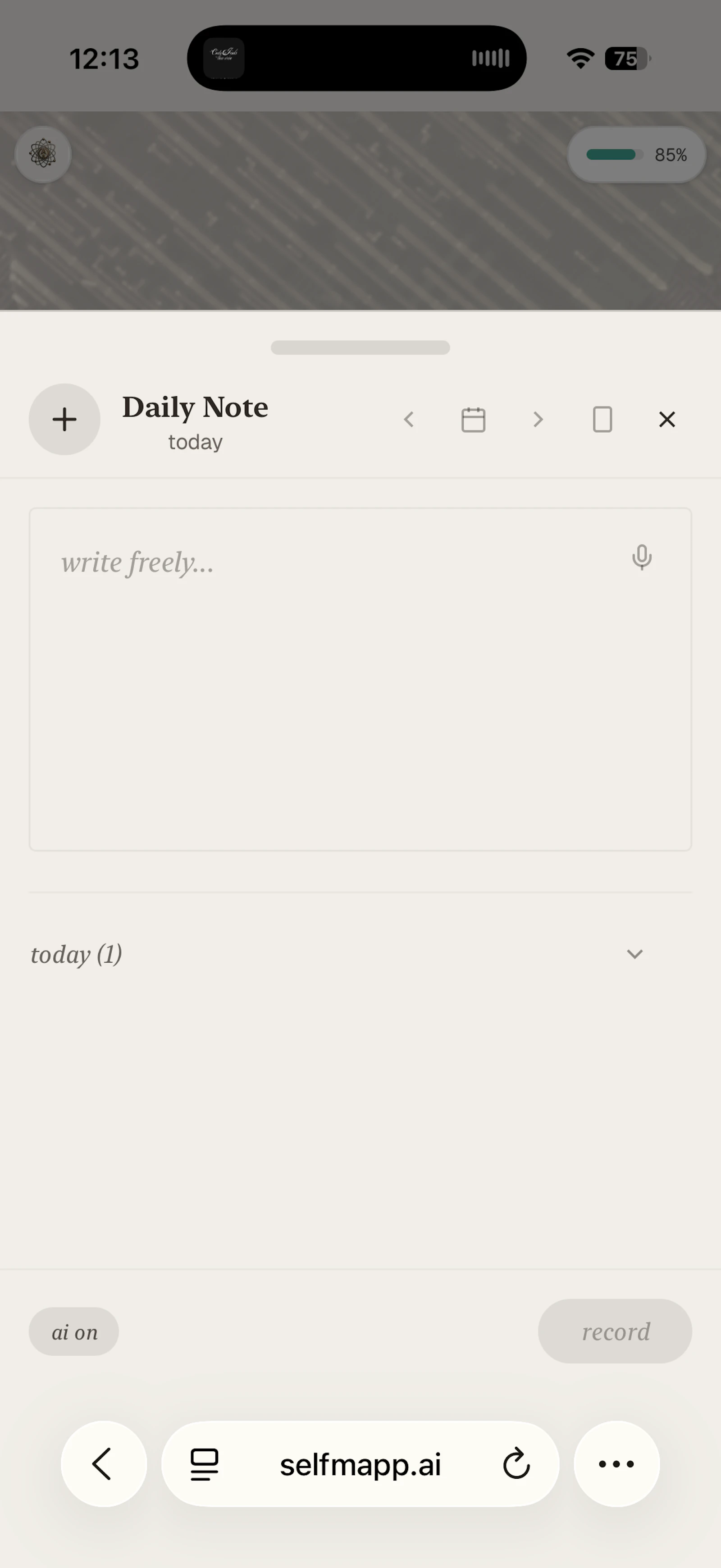 selfmapp.ai screenshot 6