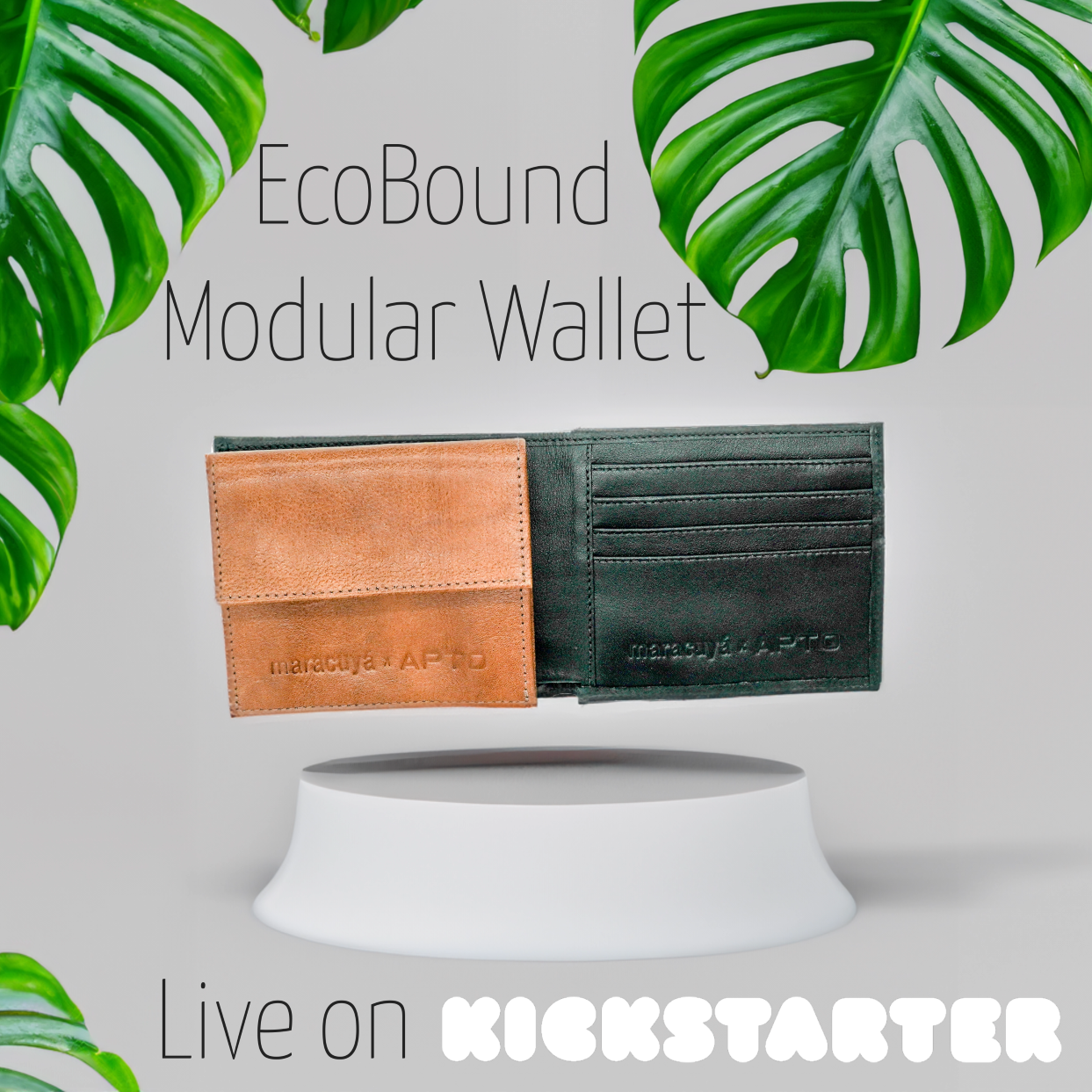 EcoBound Modular Wallet