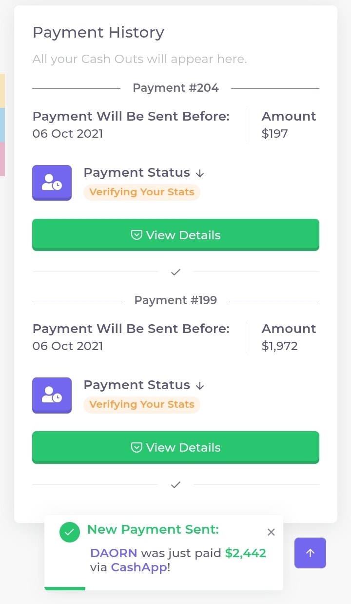 Social Rebel gallery image