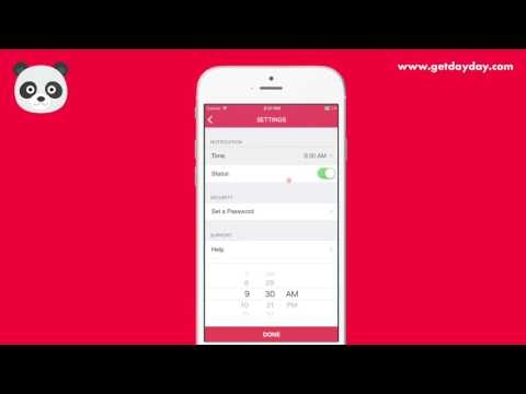 DayDay 1.0 gallery image