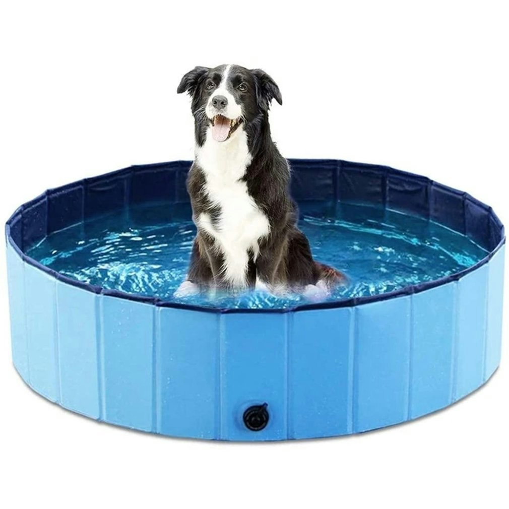 Portable Paw Pool gallery image