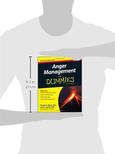 Anger Management For Dummies gallery image