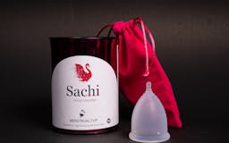 Sachi Cup media 3
