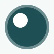 Own The World