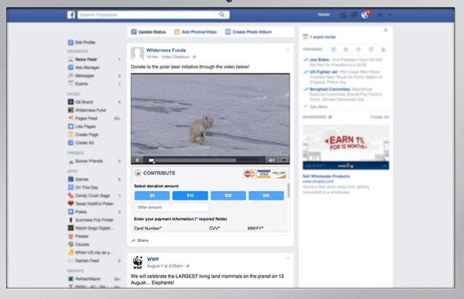 Video Checkout gallery image