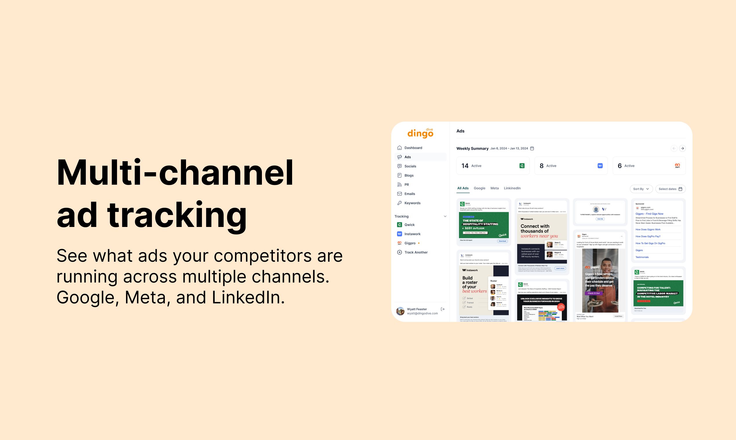 Dingo Dive gallery image