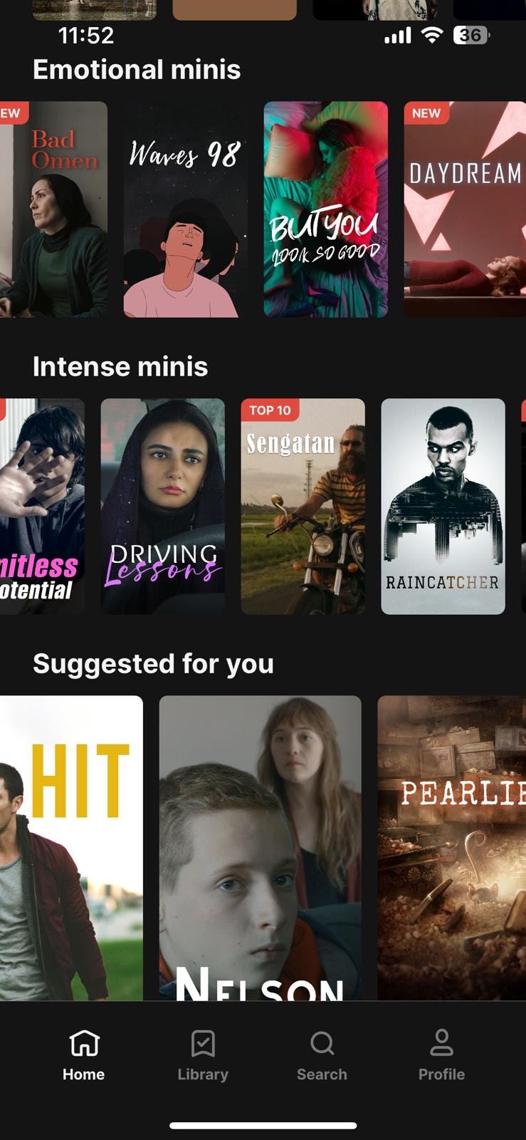 FlixSnip  media 10