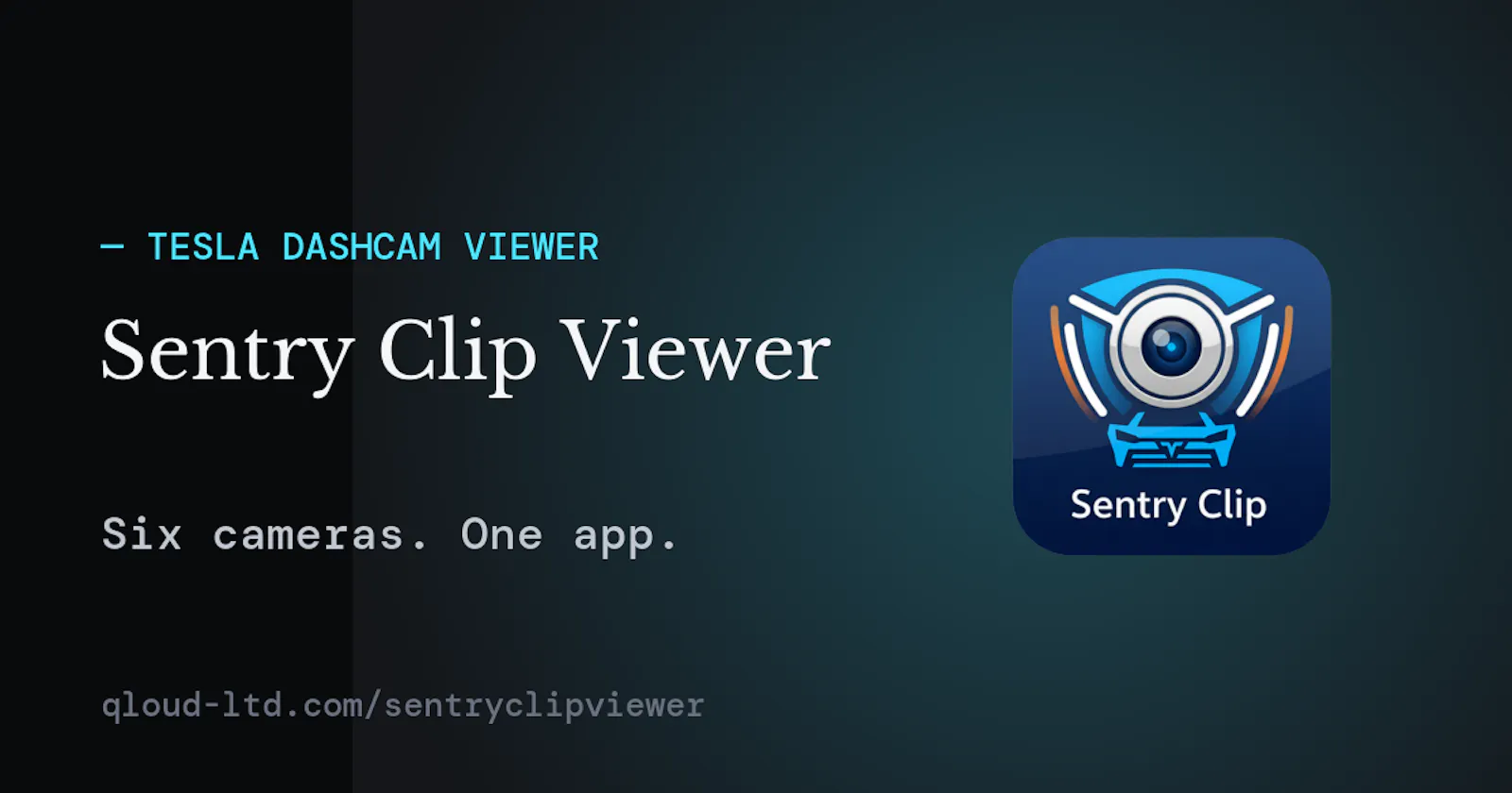 Sentry Clip Viewer screenshot 1