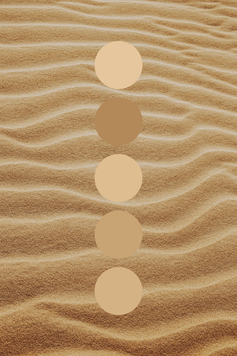 colorpalettes.earth gallery image