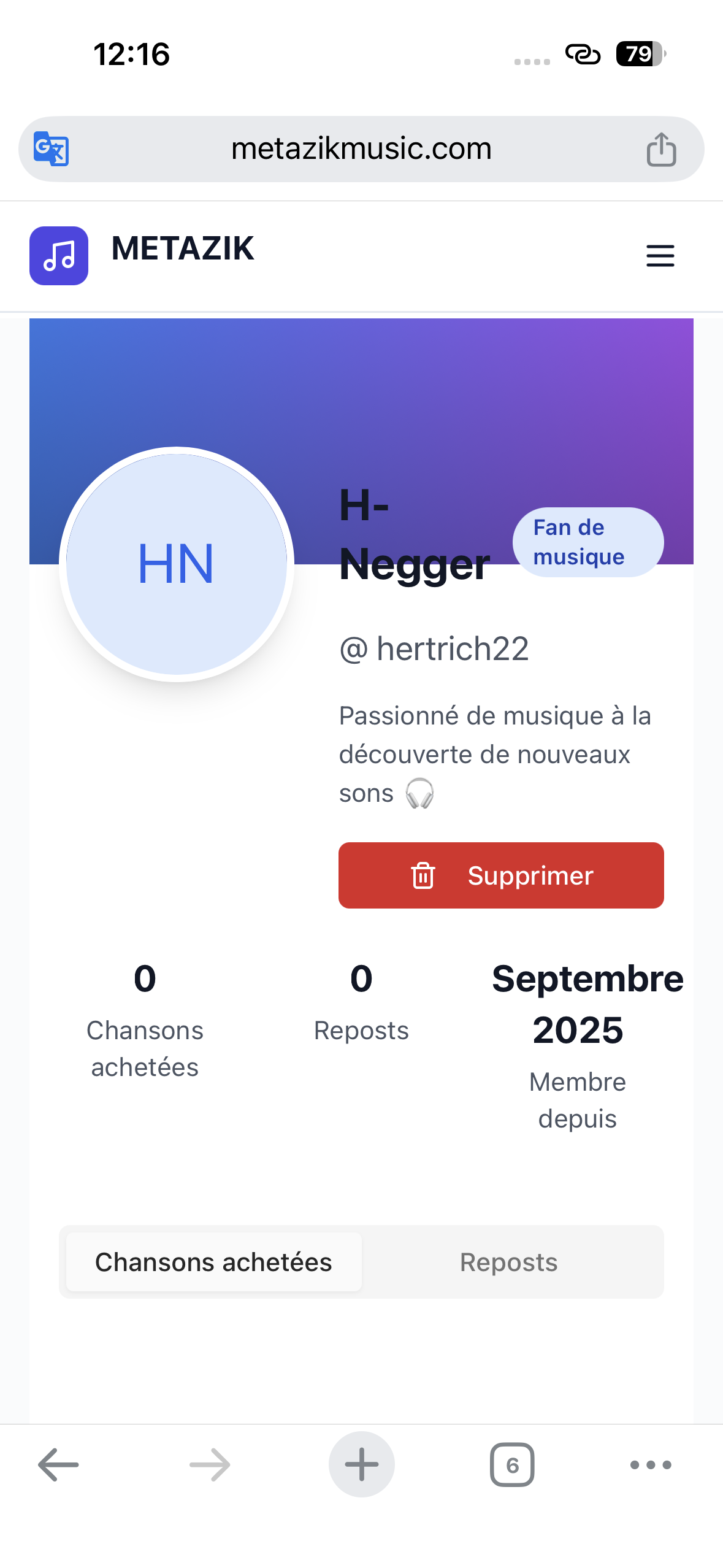 METAZIK — Platform for artists & music gallery image