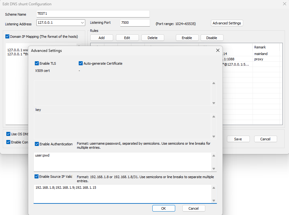 dns splitter gallery image