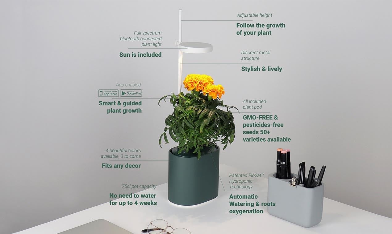 Nano Garden gallery image