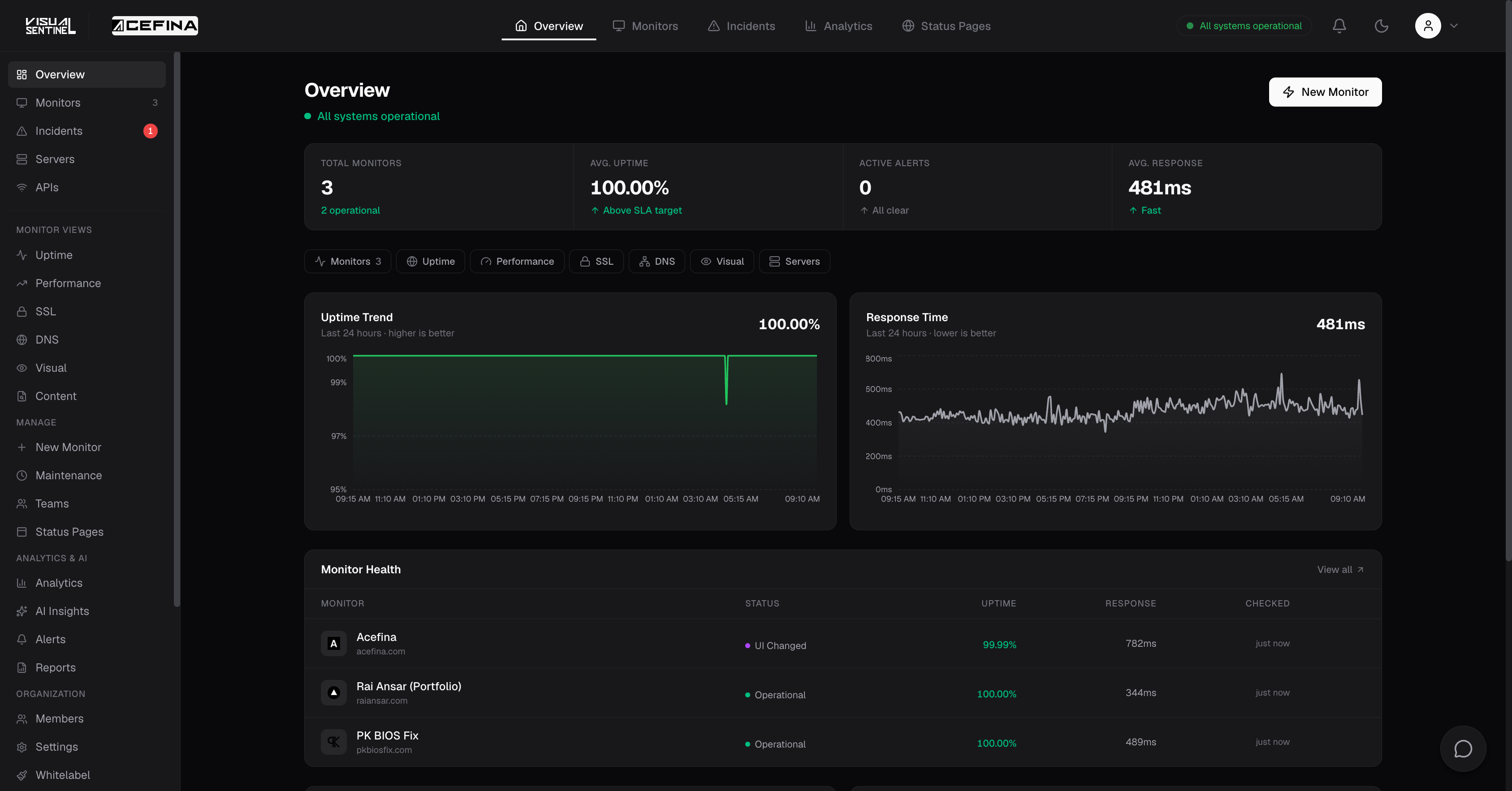 Visual Sentinel gallery image