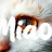 Super Miao AI