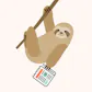 Sloth News