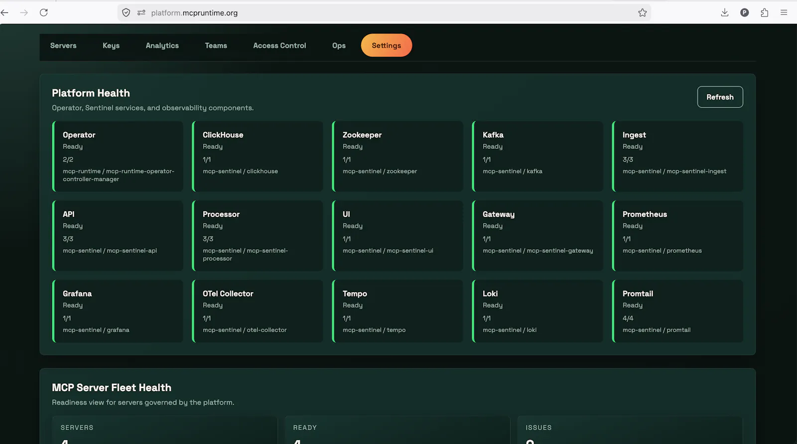 MCP Runtime screenshot 2