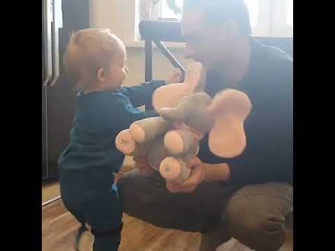 Interactive Peek-a-Boo Elephant Toy gallery image