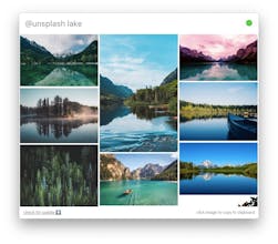 Skateboard gallery image