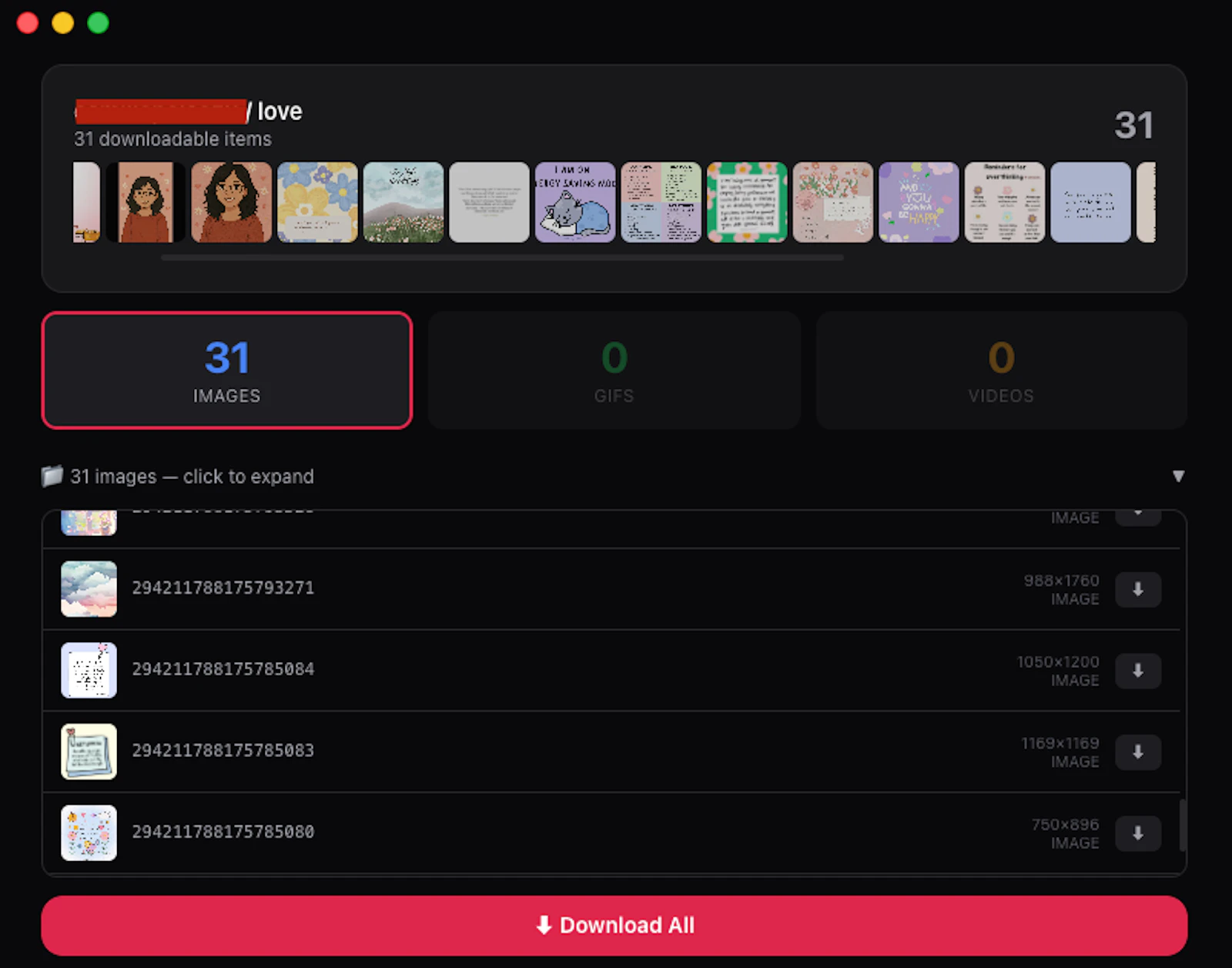 PinBoard - Pinterest Board Downloader screenshot 2