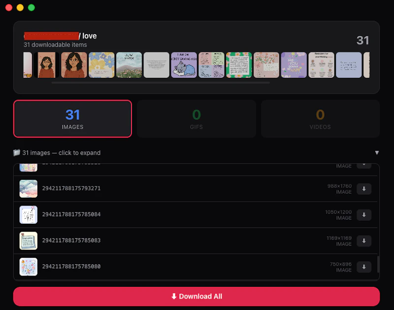 PinBoard - Pinterest Board Downloader screenshot 2